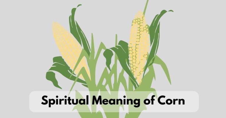 What is the Spiritual Meaning of Corn: Understanding its Symbolism and Significance